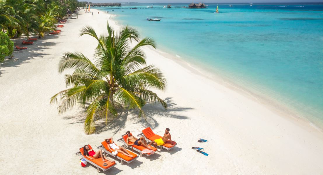 Club Med Sunbeds